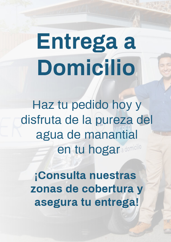 Entrega a Domicilio