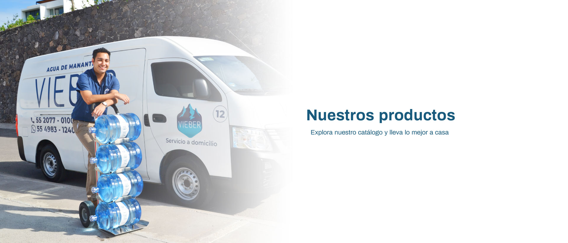 Nuestros Productos
